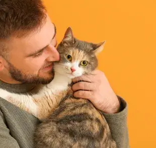 Según su testimonio, las caricias, el tiempo de juego y los mimos que su esposo le daba a la gatita eran exagerados.