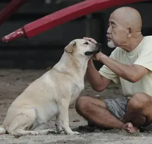 Adoptar a un perro conlleva muchas responsabilidades, como darle de comer de forma adecuada.