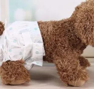 Si le vas a poner pañal a tu perra, cuida la higiene para evitar problemas más graves. Foto: Mascotaysalud.com