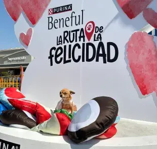 Durante el evento, tú y tu perro podrán disfrutar de actividades que cambian durante el año.