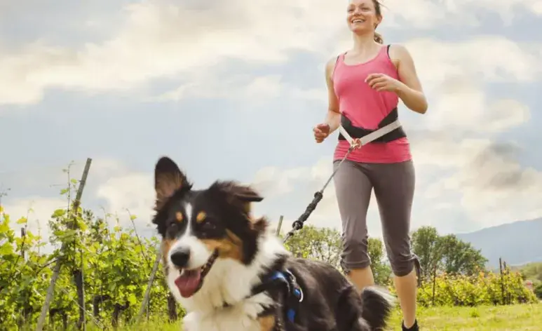 La actividad física es esencial tanto para los humanos como para los perros.