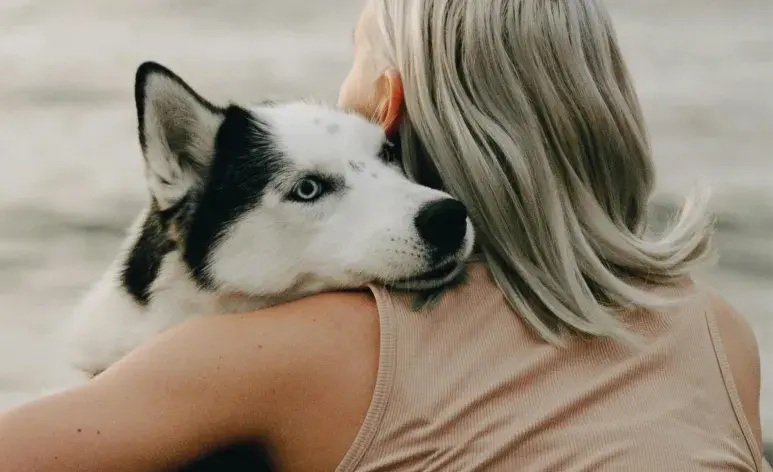 Abrazar a tu perro no es buena señal, pues puedes decirle que algo está mal. 