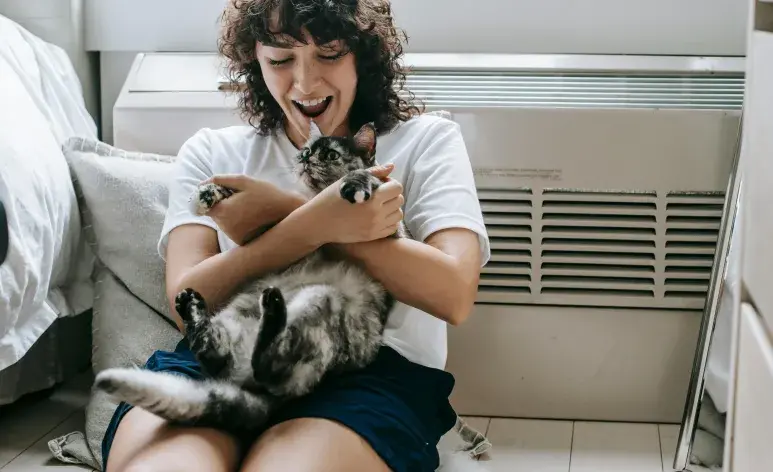 Los gatos tienen el ombligo escondido entre su pelo.