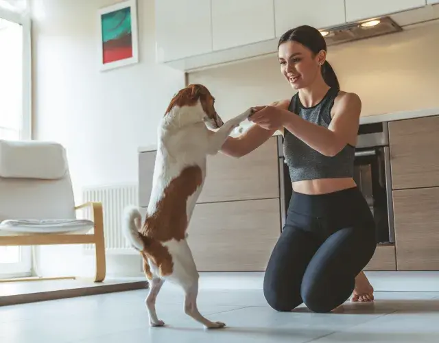 tutora brincando com o cão