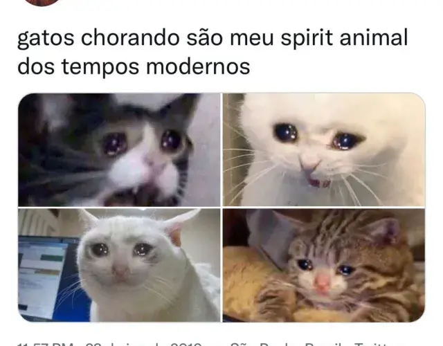 memes degato trist