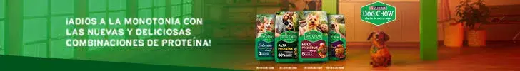 Banner Purina Dogchow